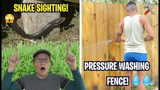 SNAKE SIGHTING! 😱 Plus, Prepping the Fence for Paint Garden Update