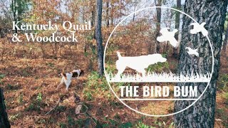 Kentucky Quail/Woodcock Hunting & Truck CampingNovember 2022