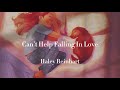 和訳/意訳誰かを愛したくなる洋楽 “Can’t Help Falling In Love” -Haley Reinhart-