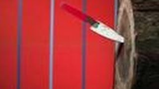 Duel Dilemma Aftershow | Mythbusters