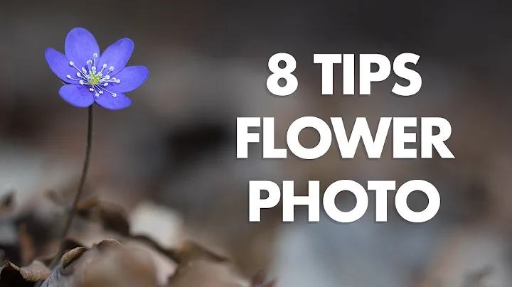 My 8 Best Tips for Flower Photography - DayDayNews