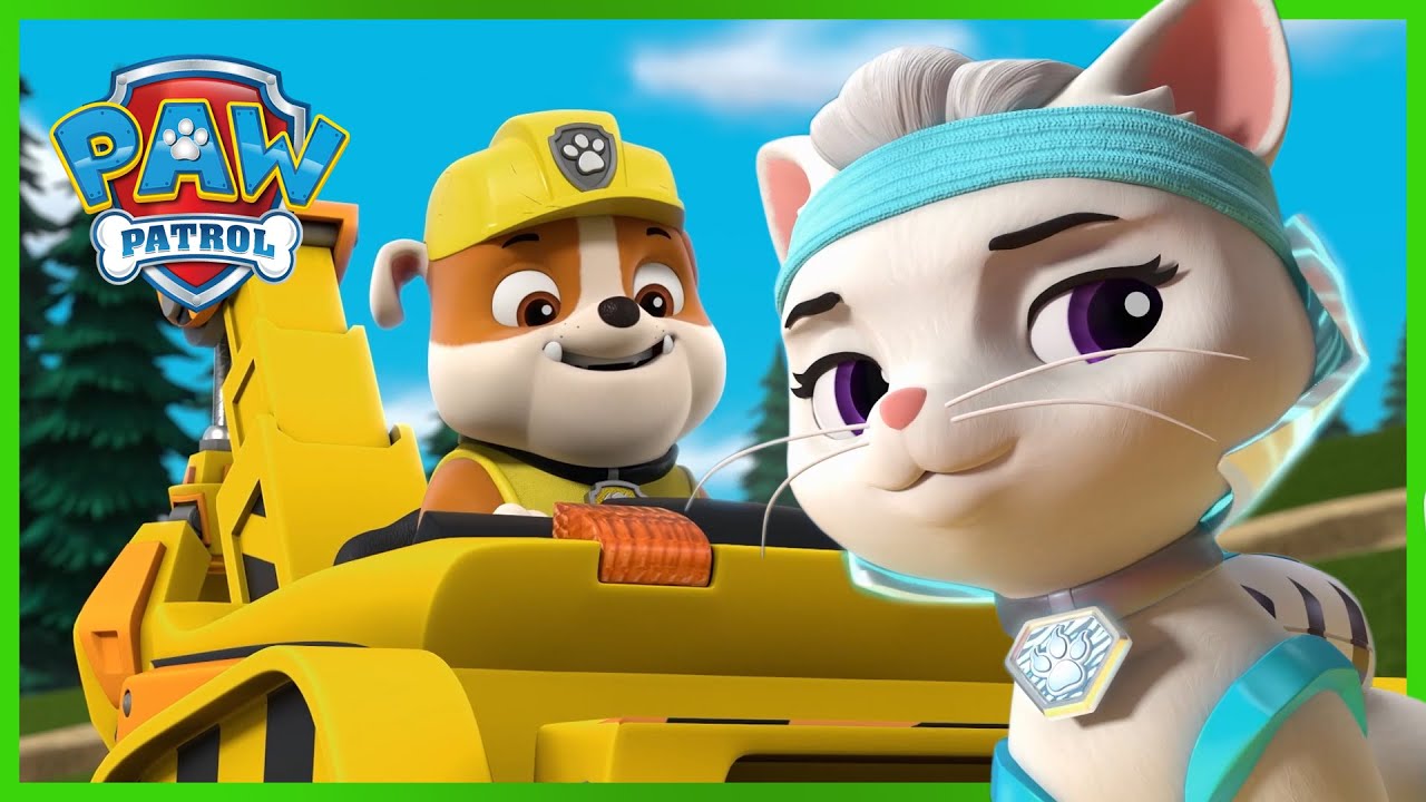 Cat Pack, Moto Pups and Much More  | PAW Patrol | Cartoons for ...