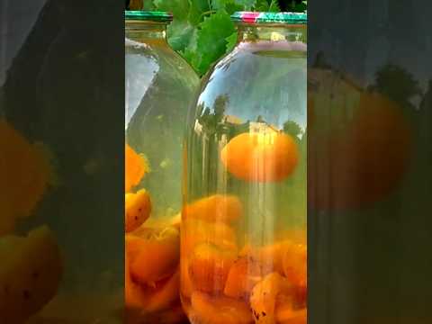Компот из АБРИКОСОВ на Зиму 👌👩🍳✔👍🍑 #рецепты #ассортикомпот #компот