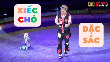 Xiếc Thú Xiếc Chó Đặc Sắc #cirus #xiếcchó || Gala Xiếc Hữu Nghị Việt - Lào 2023 #xiec #xiecthu #xiếc