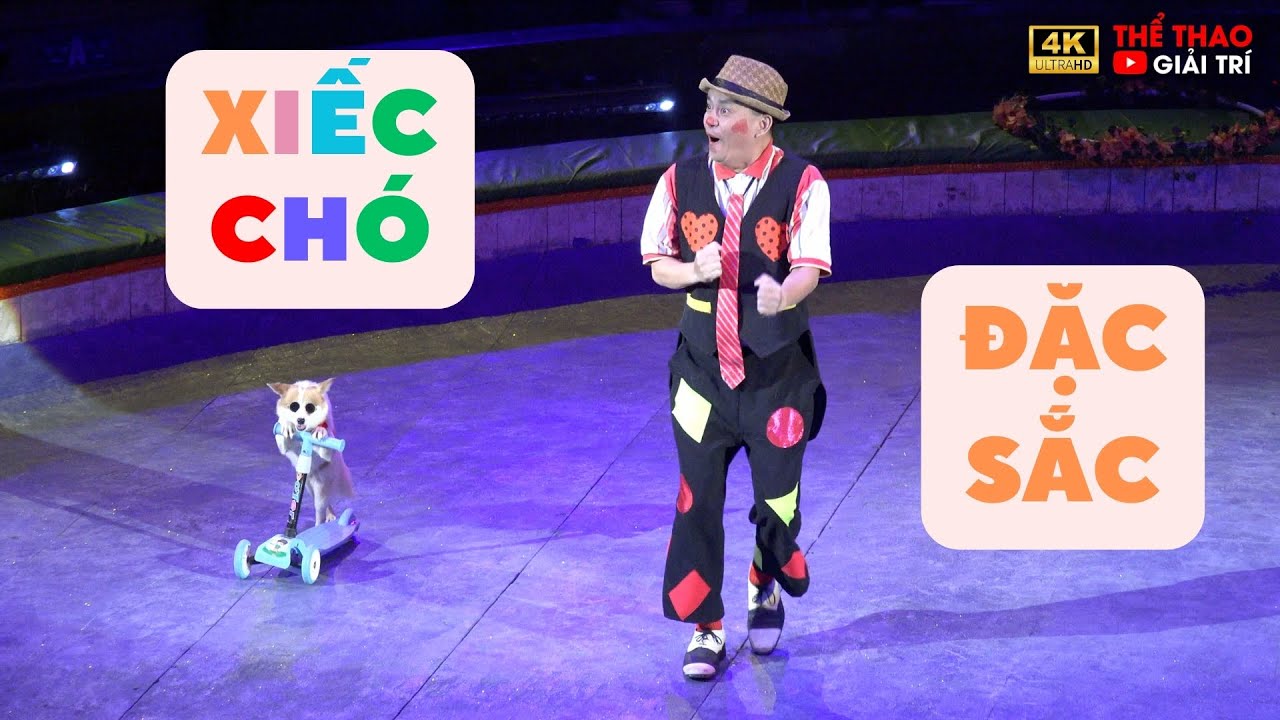 Xiếc Thú Xiếc Chó Đặc Sắc #cirus #xiếcchó || Gala Xiếc Hữu Nghị Việt - Lào 2023 #xiec #xiecthu #xiếc