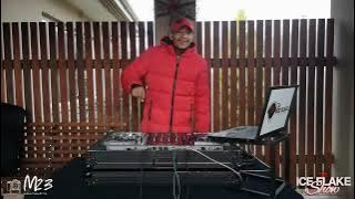 The Ice Flake Show Season 1 Episode 4 2021 Amapiano