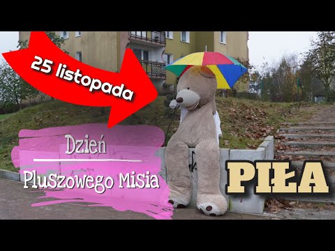 Dzień Pluszowego Misia w Pile