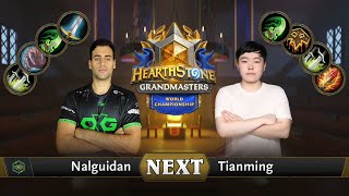 Nalguidan vs Tianming | Top 8 Initial | Hearthstone 2021 World Championship