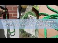 Reseña del TECHZOCO Manguera extensible de jardín, Manguera de agua extensible, Manguera riego a pre