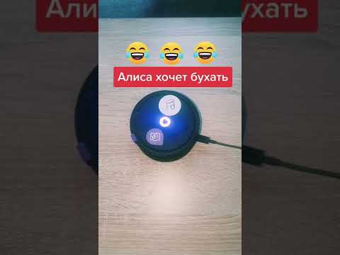 яндекс Алиса хочет