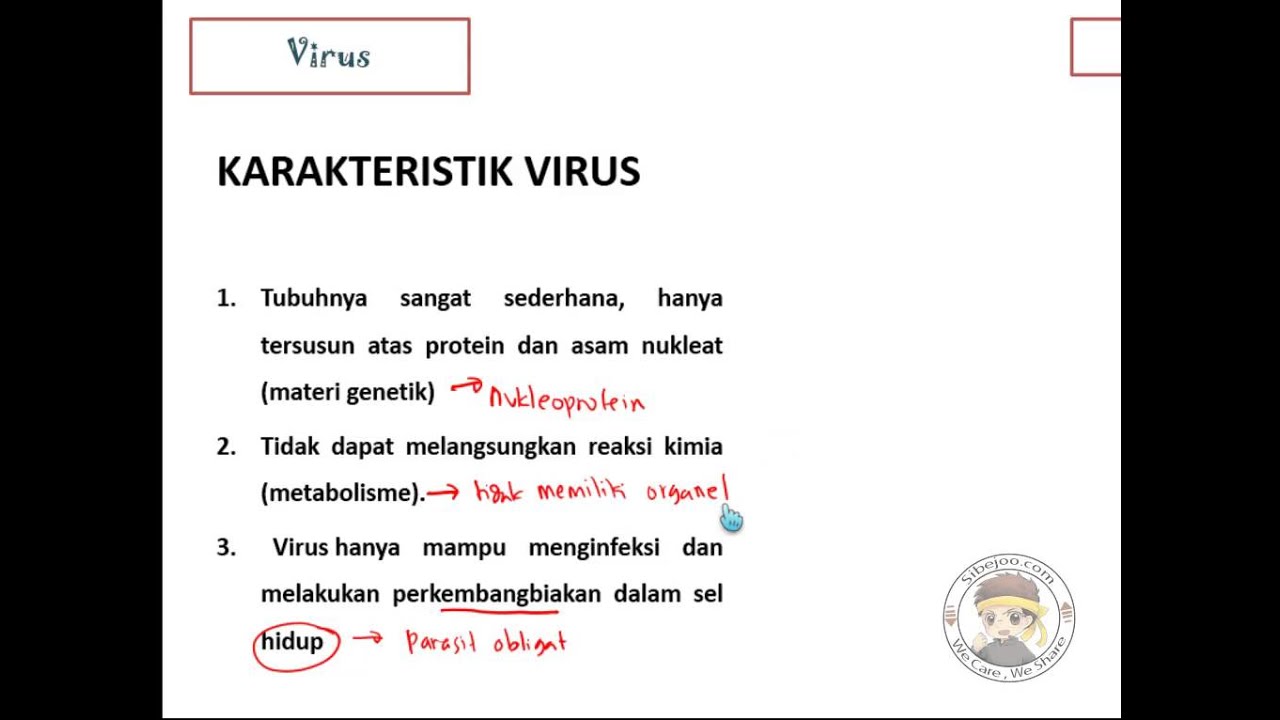 Cara Menghilangkan Virus Monkey Test Virus Part 1 karakteristik virus - YouTube