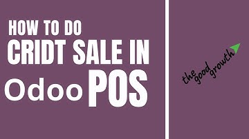 How to Do a Credit Sale in Odoo POS
