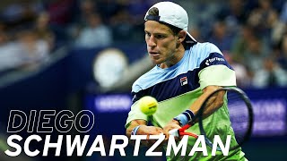 US Open 2019 in Review: Diego Schwartzman