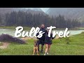 Exploring the Great Outdoors: Bulls Trek with My Partner and My Adorable Dog BOXXY