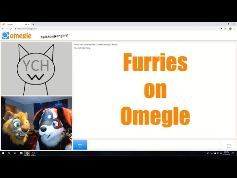 Beagle on Omegle (w/ GalacticFeral)