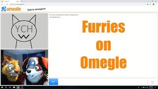 Beagle on Omegle (w/ GalacticFeral)