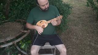 DIY string instrument improvisation