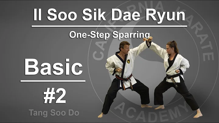 Basic #2 - Il Soo Sik Dae Ryun - One Step Sparring