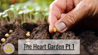 "The Heart Garden Pt 1" - Nick Mazariegos