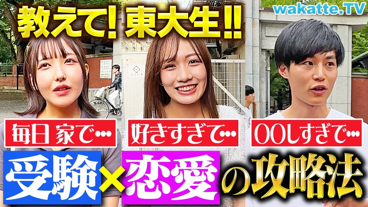 【受験生必見】受験最大の敵「恋愛」どう付き合うべき？東大生に聞いてみた！【wakatte TV】#1139