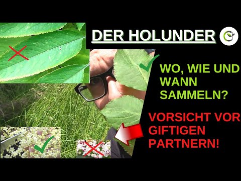 Video: Wie unterscheiden sich Marmeladen und Gelees – Unterscheidung zwischen Marmeladen, Gelees und Konserven?