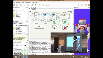 Nao Web server - Salah Amer @ NAO sur Seine (April 2013)