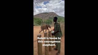 Reteti Elephant Sanctuary