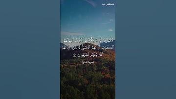 ويجعلون لله ما يكرهون، تلاوة مؤثرة من سورة النحل للقارئ مصطفى جيد