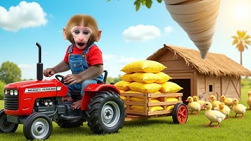 Monkey Nana Drives a tractor and battles a tornado : Protecting Ducklings During the storm