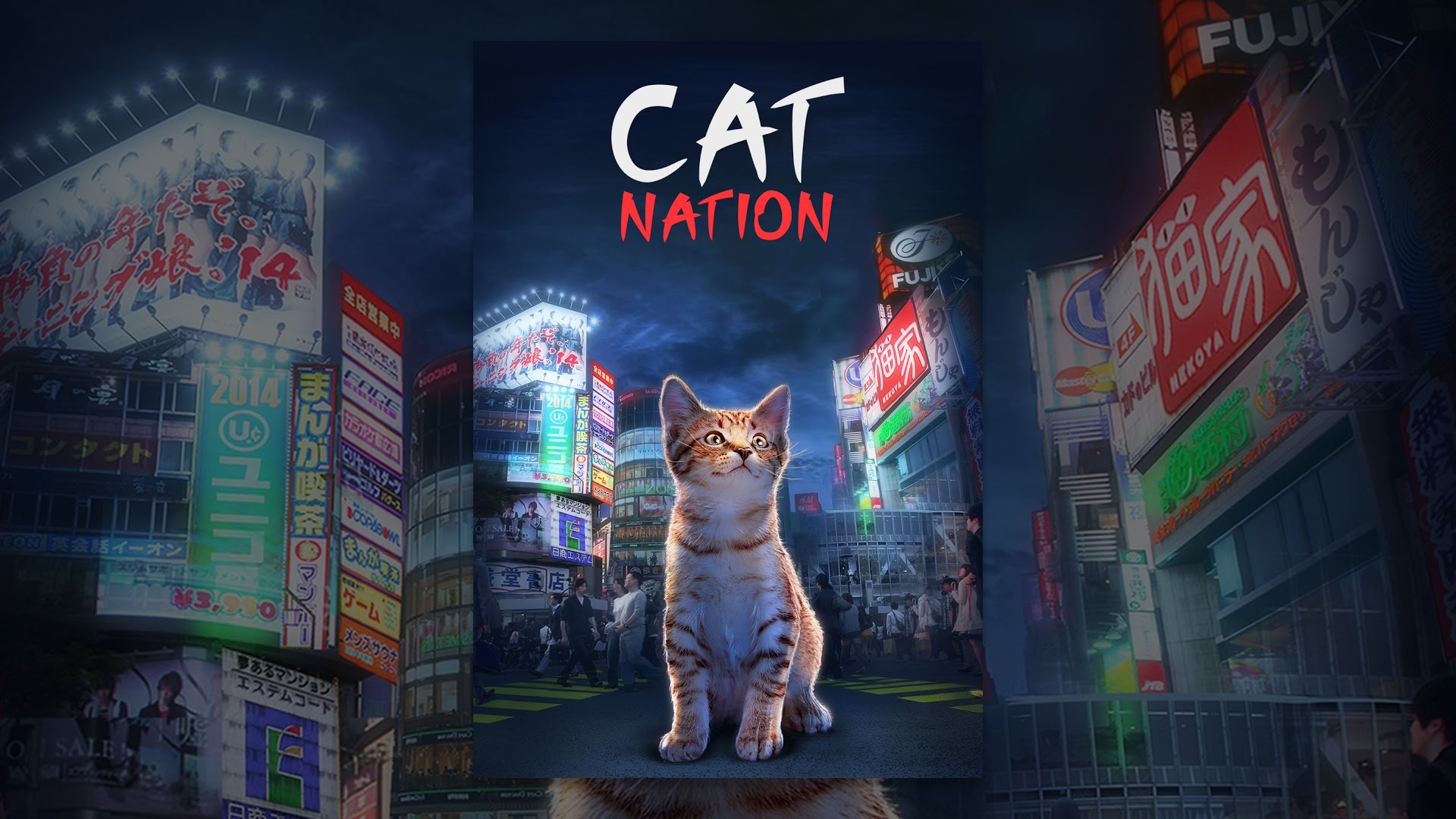 Cat Nation