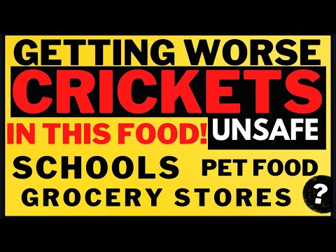 WARNING: CRICKETS IN YOUR FOOD - Food Shortages 2022 - SHTF