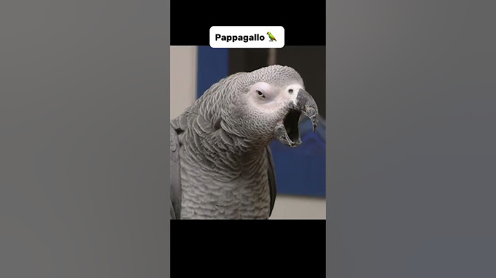 ANIMALI CON LA SINDROME DI DOWN!! #cosechenonsai #curiosità