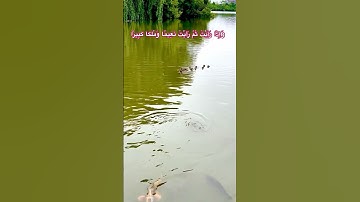 #قرآن #قران_كريم #tilawat #راحة_نفسية #allah #تلاوة_خاشعة #تلاوة_هادئة