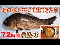 ナガブナと思しき魚を身が溶けるくらい煮込んでみた