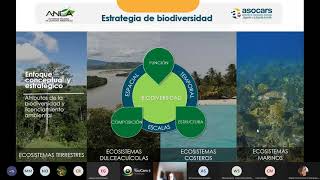 ANLA - ASOCARS: Conceptualización estrategia de biodiversidad y apuestas
