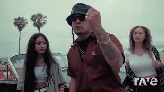 DEZZY HOLLOW - Backstroke - REDD RMX DJ FREDO