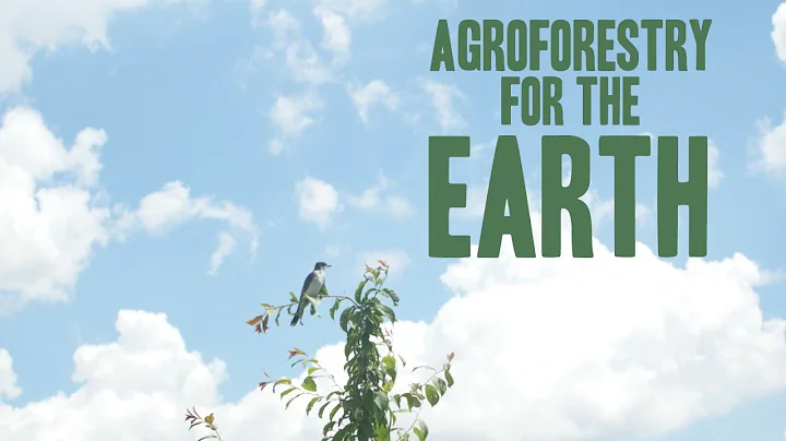 Forest Farming for the Earth