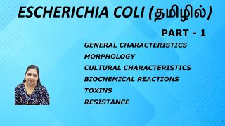 Escherichia coli (Part - 1) - Morphology, Cultural characteristics, Toxins, Resistance / Tamil