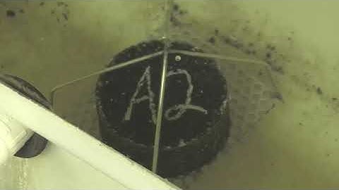 Bulk Specific Gravity Of Asphalt T 166