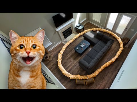 Never Ending Cat Tunnel 😱