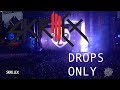 Skrillex @ Lollapalooza 2014 [Drops Only]