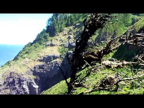 Heceta Head Lighthouse Trail