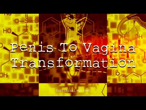 Vagina To Penis Transformation