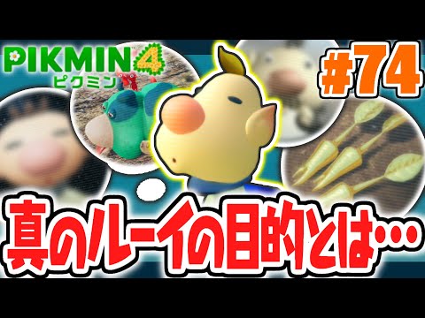 ルーイが惑星に来た理由がヤバ過ぎる…航海日誌で衝撃の事実が判明!!最速実況Part74【ピクミン4】