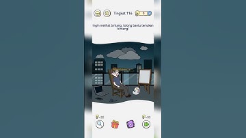 Brain Maze Level 116