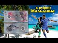 Обзор футбольной банкноты 5 руфий 2017 Мальдивы