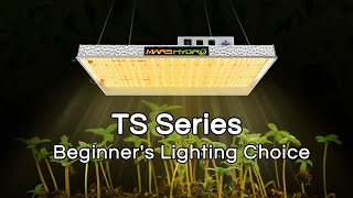 Mars Hydro TS Series LED Grow Lights Spotlight | Cost-Effective | Designed For Beginners