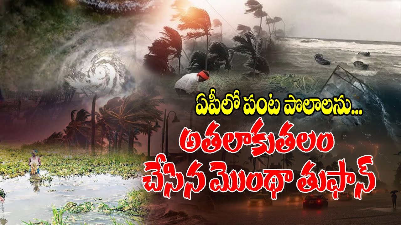 Cyclone Montha wreaks havoc on crop fields in AP | ఏపీలో పంట పొలాలను ...