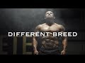 Bodybuilding motivation  different breed