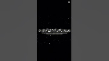 الشيخ ياسر الدوسري -  سورة الزلزلة
